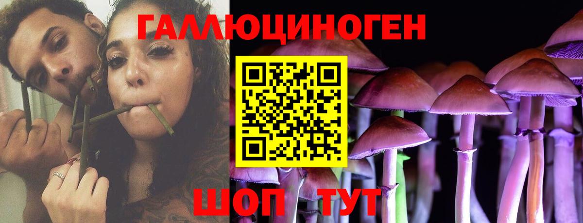 хочу   Вход с VPN  Конаково  Галлюциногенные грибы мухоморы 